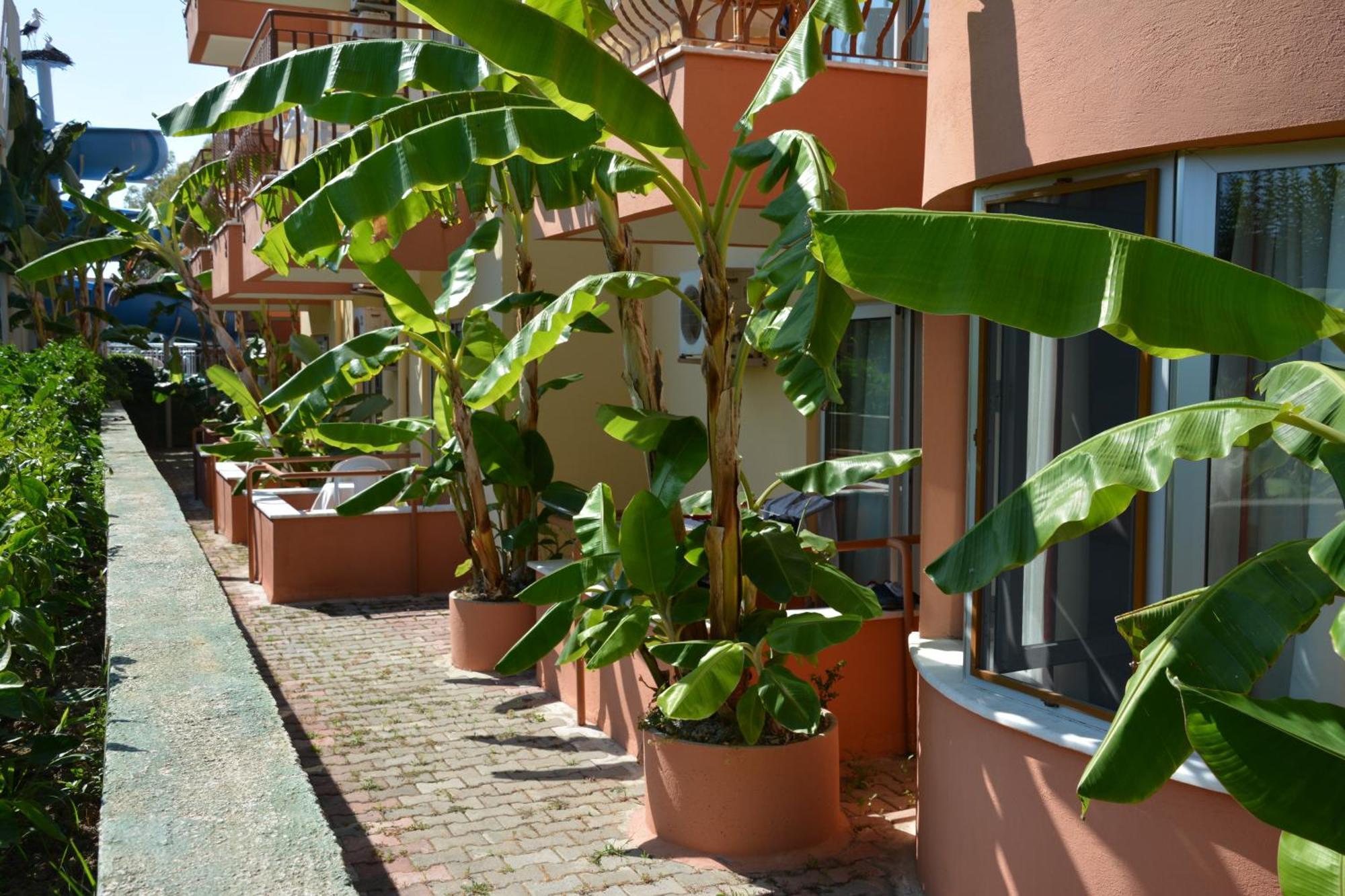 Yavuzhan Hotel シダ 部屋 写真